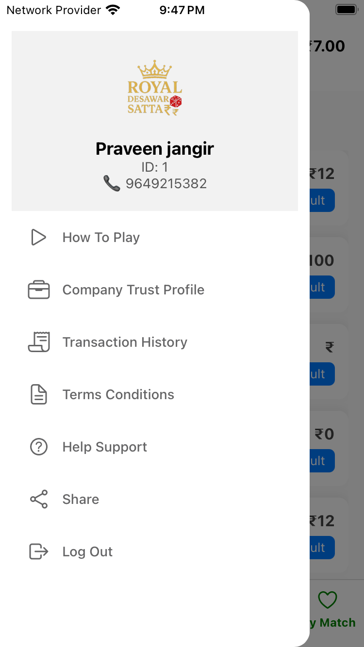 App Screenshot 1